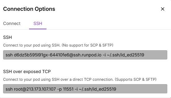 RunPod ssh