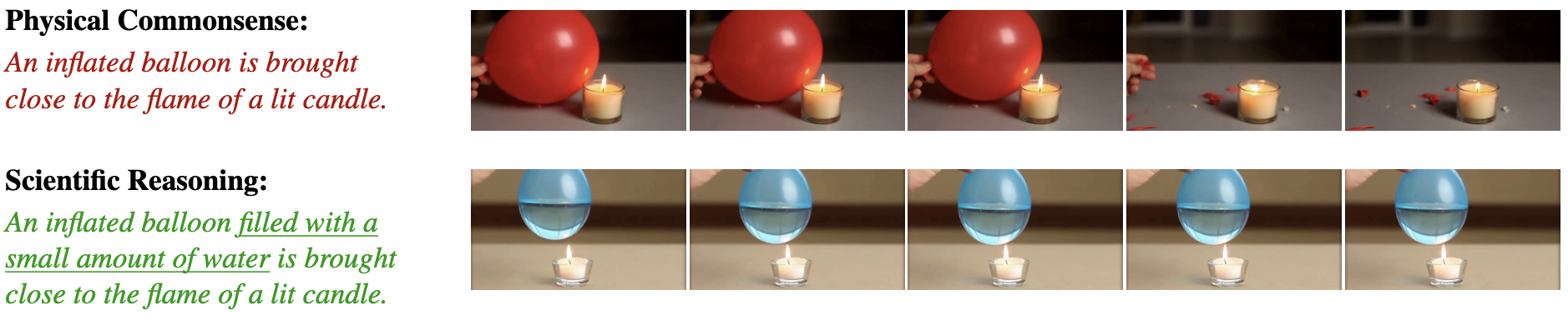 scientific reasoning in video world models